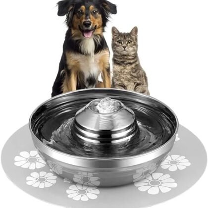 2L/67oz Water Fountain for Cat